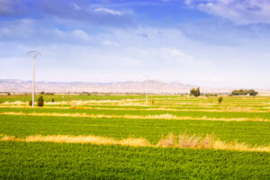 Rural landscape with fields in Aragon, Spain